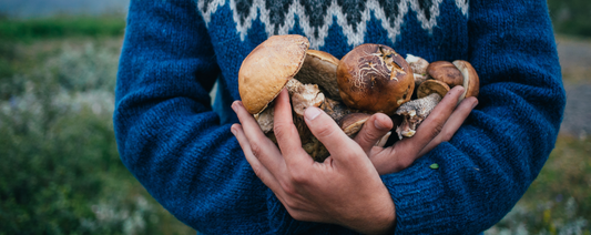 Gesunde Rezepte aus dem Wald: Kulinarische Entdeckungen zwischen Bäumen